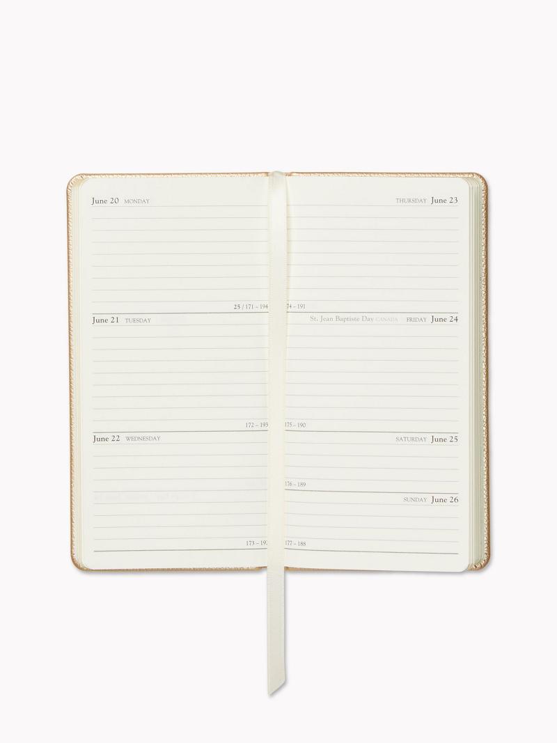 Férfi Tommy Hilfiger Weekly Planner Technology Arany | HU 1585NWY